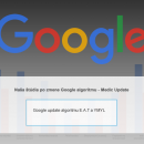 Case-study-of-Google-algorithm-Medic-Update